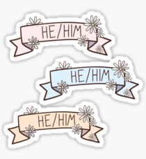 He/Him Banner Sticker Set Sticker