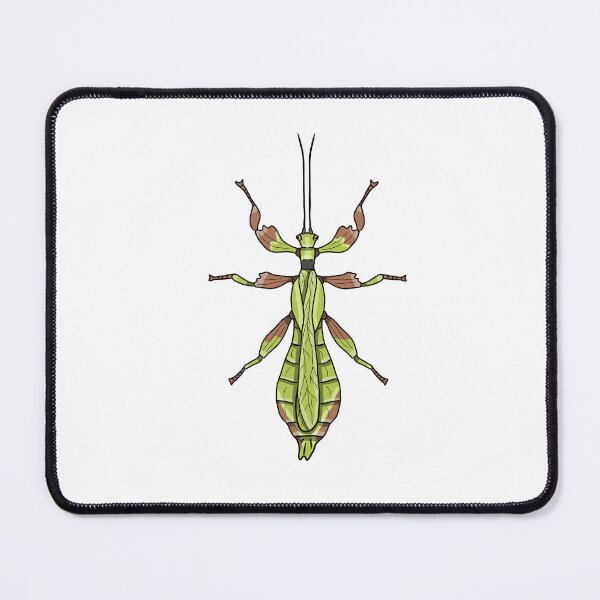 Item preview, Male leaf insect Phyllium monteithi designed and sold by Artbychb.