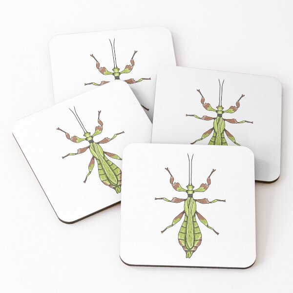 Item preview, Male leaf insect Phyllium monteithi designed and sold by Artbychb.