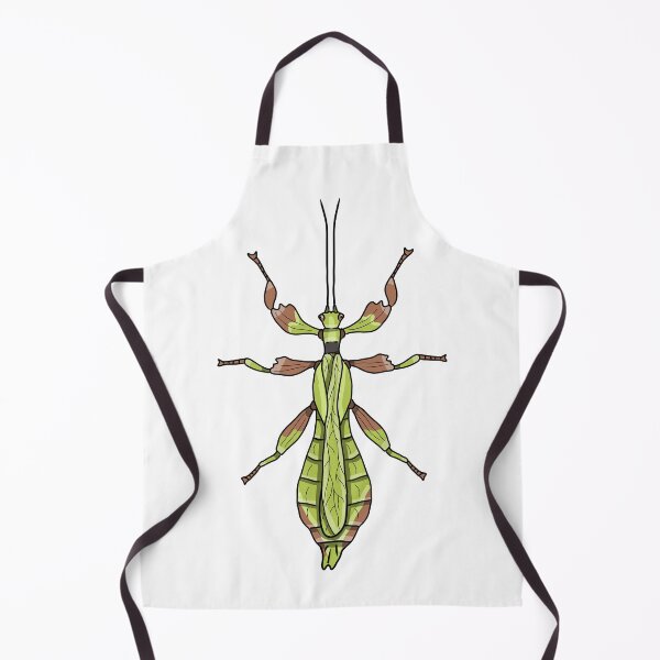 Item preview, Male leaf insect Phyllium monteithi designed and sold by Artbychb.