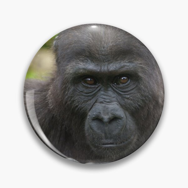 Item preview, Baby Gorilla designed and sold by rawshutterbug.