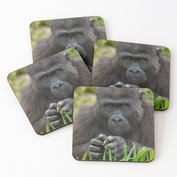 Item preview, Baby Gorilla designed and sold by rawshutterbug.