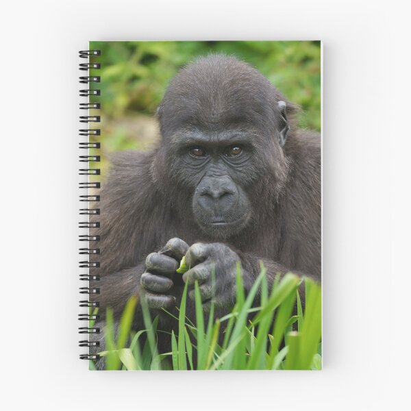 Item preview, Baby Gorilla designed and sold by rawshutterbug.