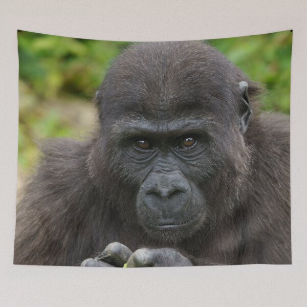 Item preview, Baby Gorilla designed and sold by rawshutterbug.
