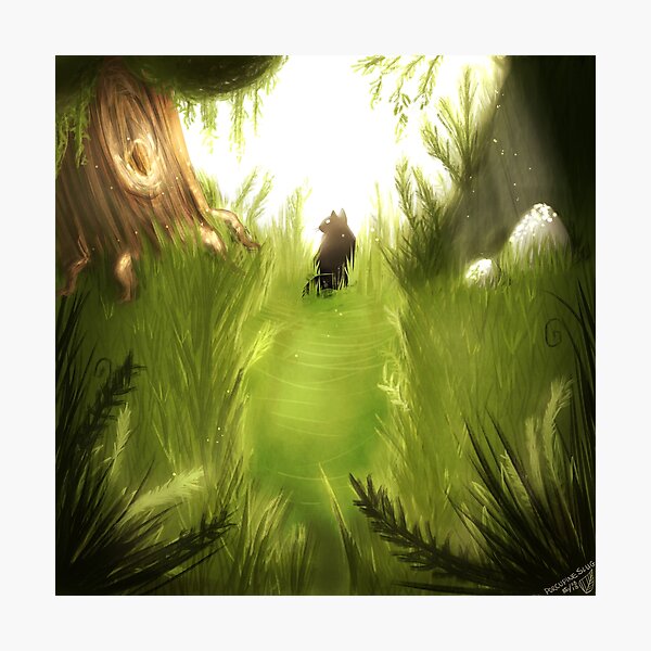 Cat in the Woods Photographic Print