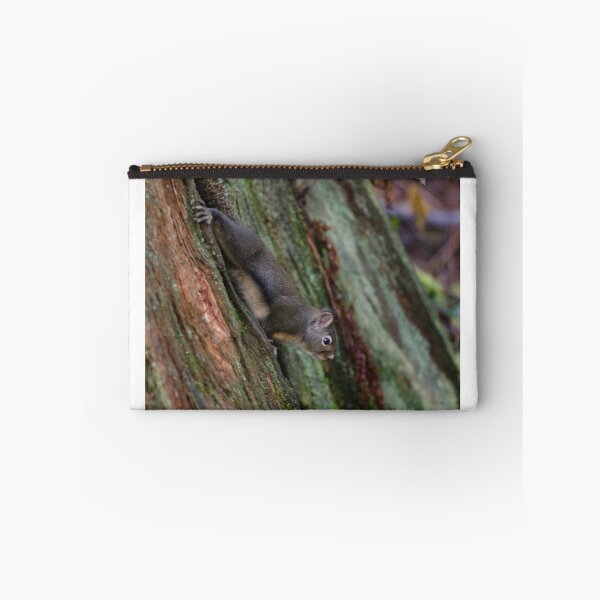 Item preview, Just a stump nothing to see here designed and sold by Jean Poulton.