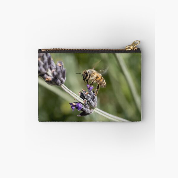 Item preview, Looking for Lavender designed and sold by John Sharp.