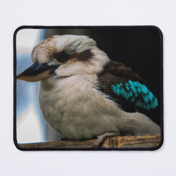 Item preview, Kookaburra sitting on a perch designed and sold by Teniche.