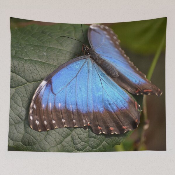 Item preview, Beautiful Blue Butterfly designed and sold by lizdomett.