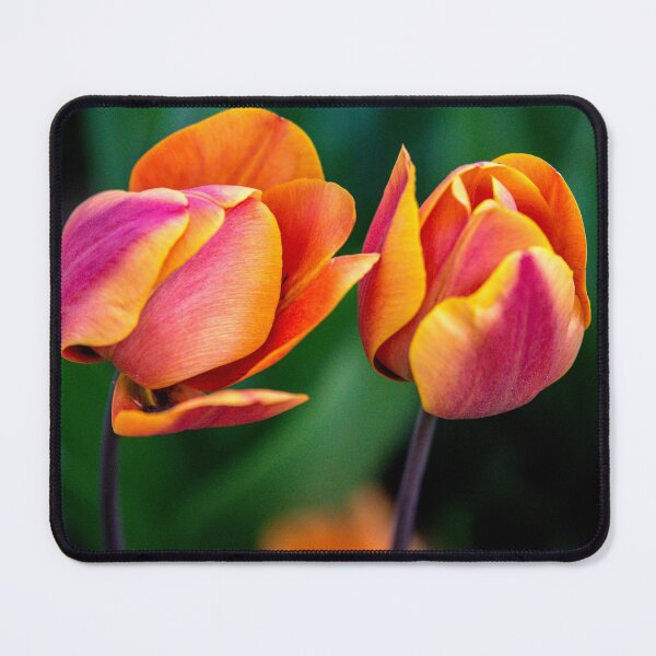 Item preview, Two tulips designed and sold by Teniche.