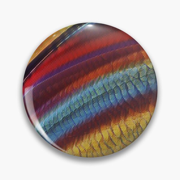 Item preview, Scaled Rainbow designed and sold by ScaleDesigns.