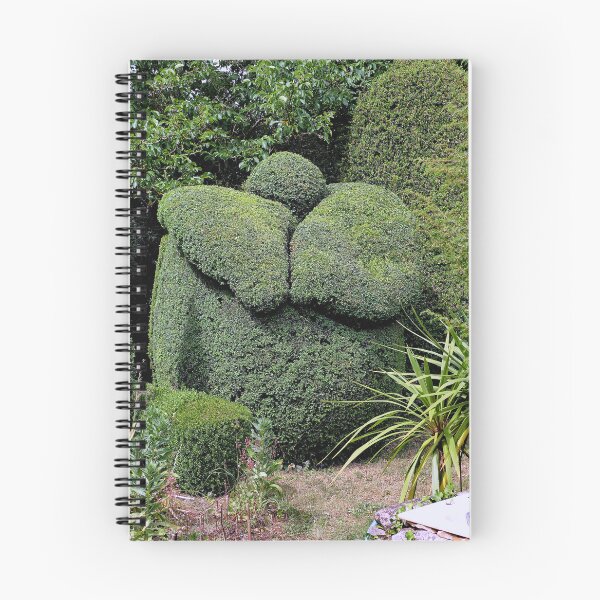 Item preview, 3527 / finition 2022 - 2 - " Jardin Remarquable de Fortran à Linazay 86 France 2022   Okaio Créations  Olavia-Olao designed and sold by o.okaïo.