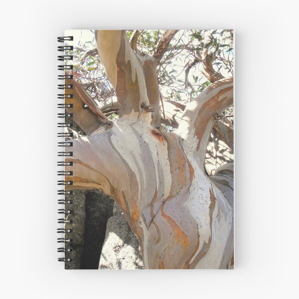 Item preview, Unique Snow Gum, Charlottes Pass, Snowy Mountains, NSW, Australia. designed and sold by kaysharp.