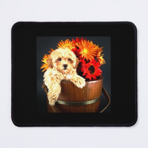 Item preview, Cockapoo Puppies designed and sold by The Love Quill.