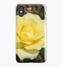 Yellow Rose iPhone Case/Skin