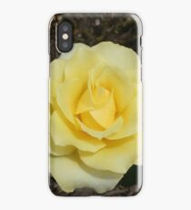 Yellow Rose iPhone Case/Skin