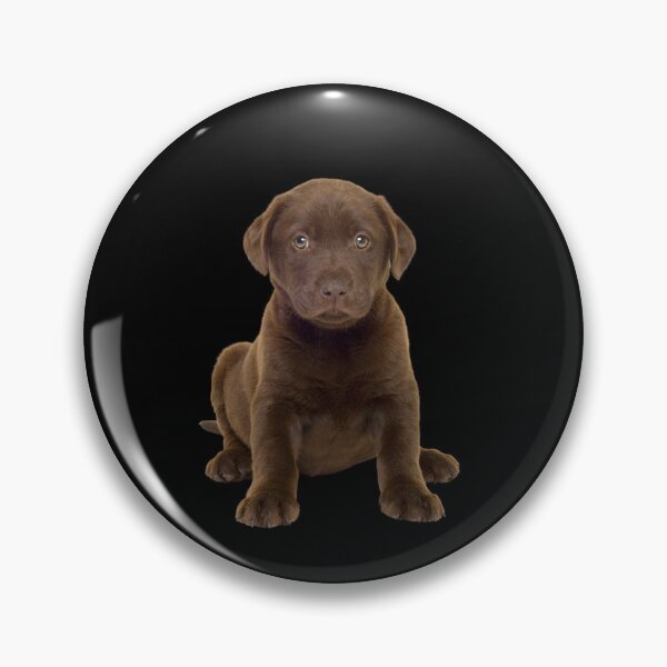 Item preview, Chocolate lab puppies designed and sold by The Love Quill.