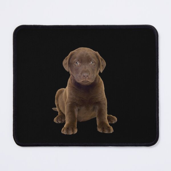 Item preview, Chocolate lab puppies designed and sold by The Love Quill.