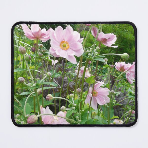 Item preview, This pink flower is fragile but confident designed and sold by Raigitam.