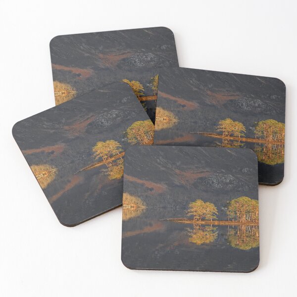 Item preview, Loch Maree Caledonian Pines Wester Ross, Scotland. designed and sold by PhotosEcosse.