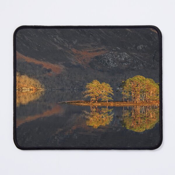 Item preview, Loch Maree Caledonian Pines Wester Ross, Scotland. designed and sold by PhotosEcosse.
