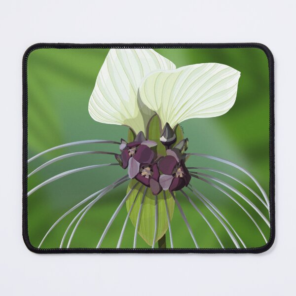 Item preview, White bat plant designed and sold by Purplepugprints.