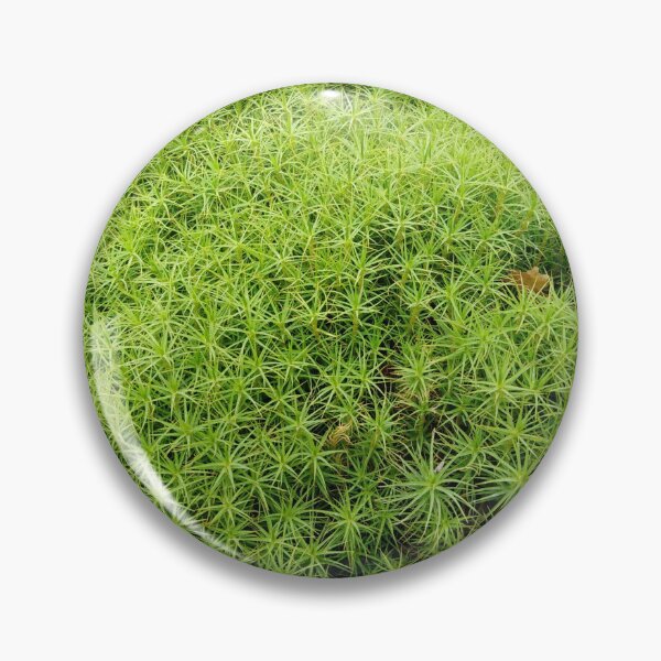 Item preview, Soft moss invites you to rest designed and sold by Raigitam.