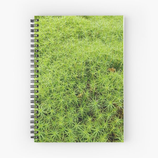 Item preview, Soft moss invites you to rest designed and sold by Raigitam.