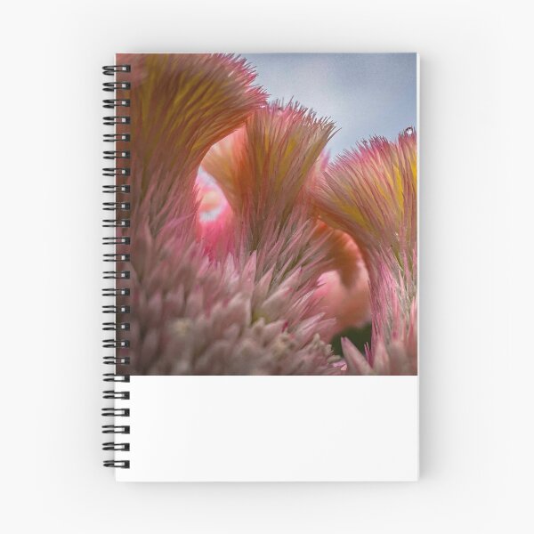 Item preview, Celosia argentea designed and sold by CiaoBellaJenny.