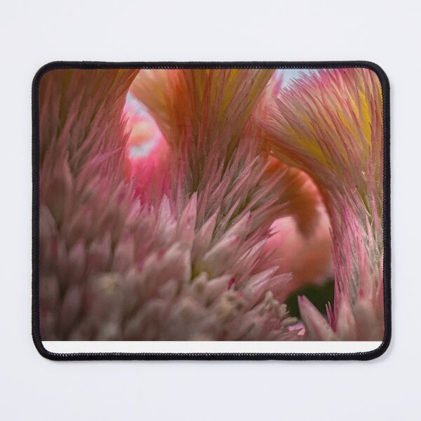 Item preview, Celosia argentea designed and sold by CiaoBellaJenny.