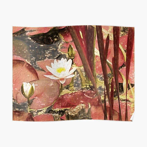 Waterlily Poster