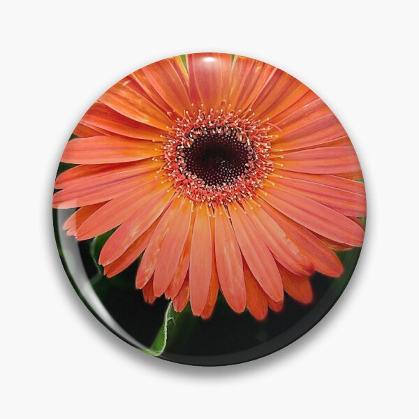 Item preview, Orange Beauty designed and sold by Debbie Mueller.