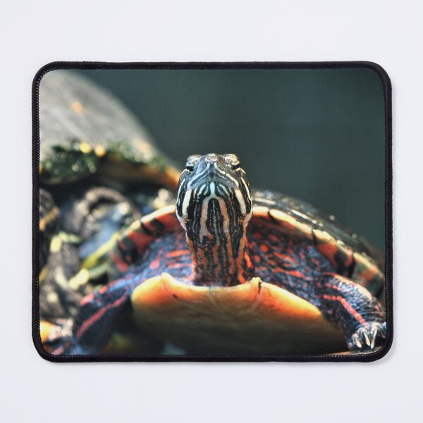 Item preview, Snappy Turtle designed and sold by Fearless-Fox.