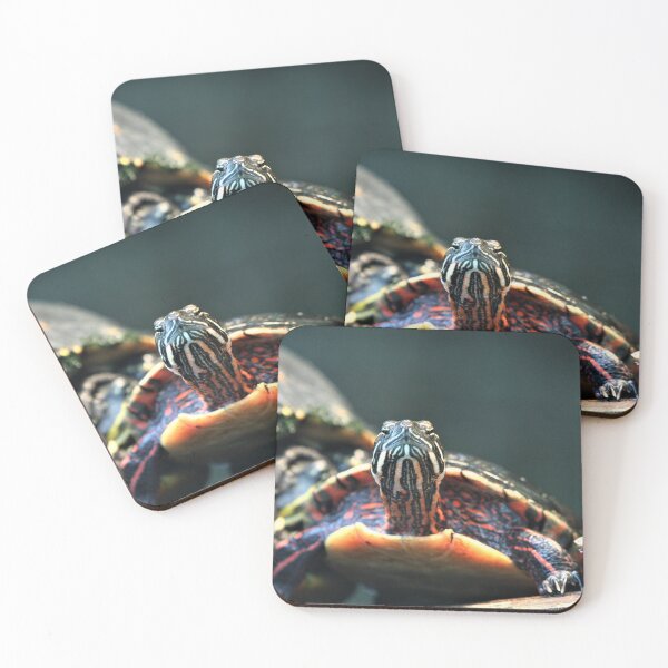 Item preview, Snappy Turtle designed and sold by Fearless-Fox.