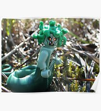 Medusa in the Swamp Poster