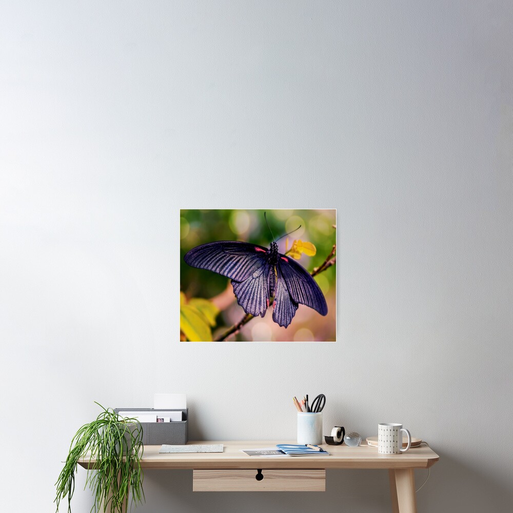 Item preview, Poster designed and sold by ScenicViewPics.