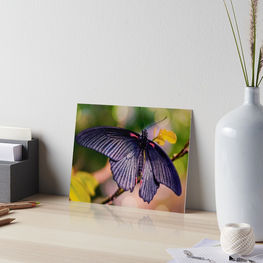 Item preview, Art Board Print designed and sold by ScenicViewPics.