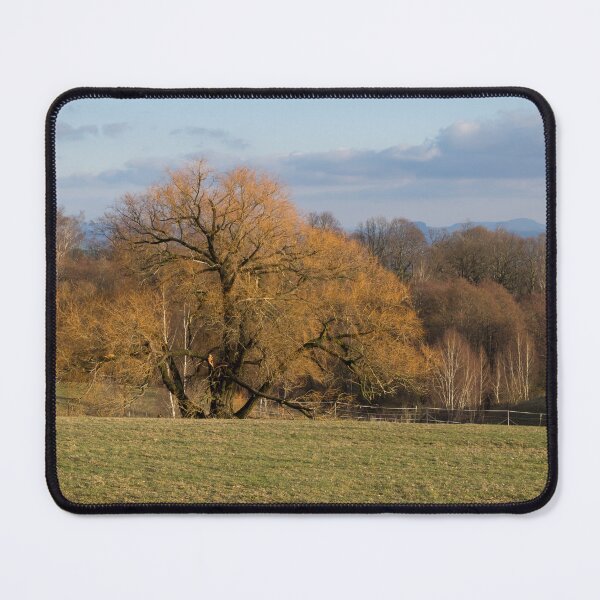 Item preview, Green meadow, cloudy sky and tree with golden-brown branches designed and sold by Heidemüllerin.
