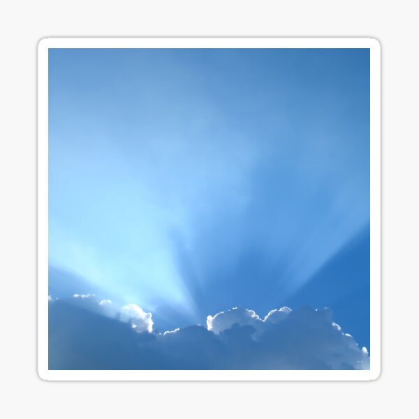 Rays Sticker