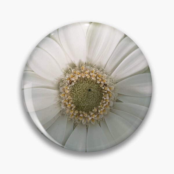 Item preview, gerberas designed and sold by CiaoBellaJenny.
