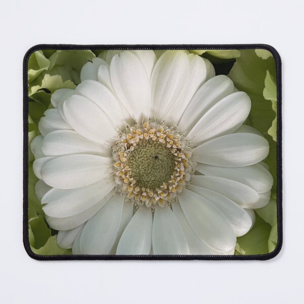 Item preview, gerberas designed and sold by CiaoBellaJenny.