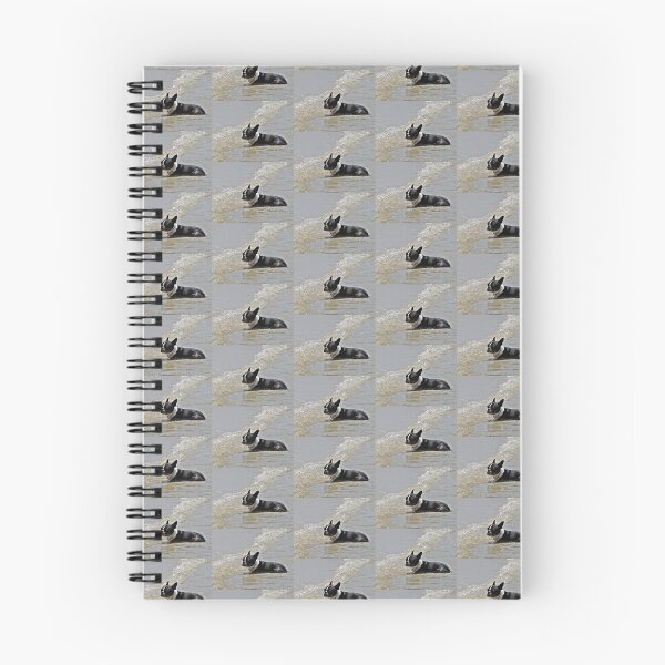 Item preview, Cooling off! designed and sold by BiodiversityRocks.
