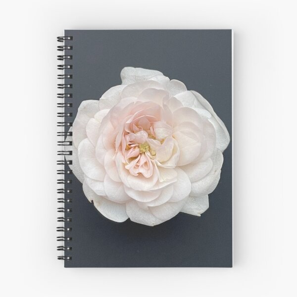Item preview, rose designed and sold by CiaoBellaJenny.
