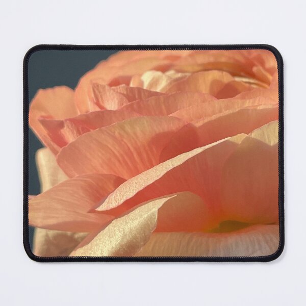 Item preview, ranunculus designed and sold by CiaoBellaJenny.