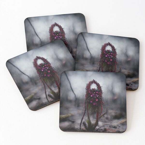 Item preview, Flowers 10 designed and sold by Achrosis.