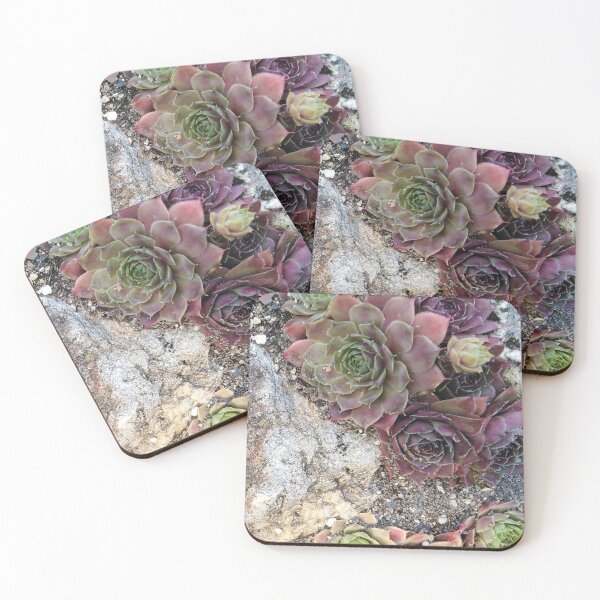 Item preview, Succulent for those who love roses designed and sold by Raigitam.