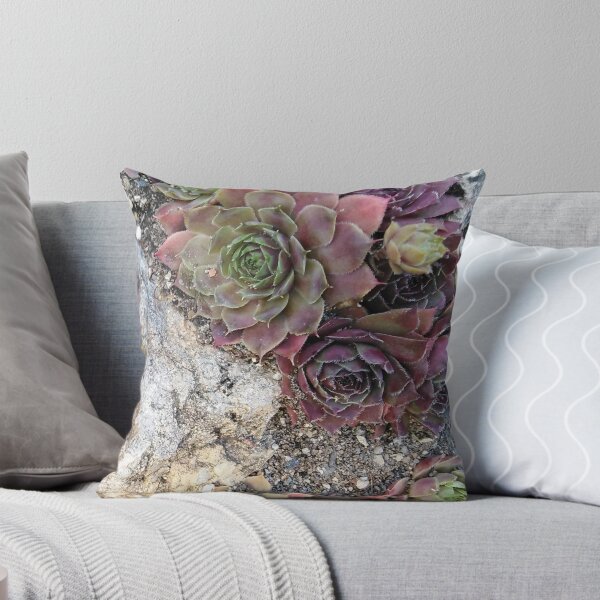 Item preview, Succulent for those who love roses designed and sold by Raigitam.