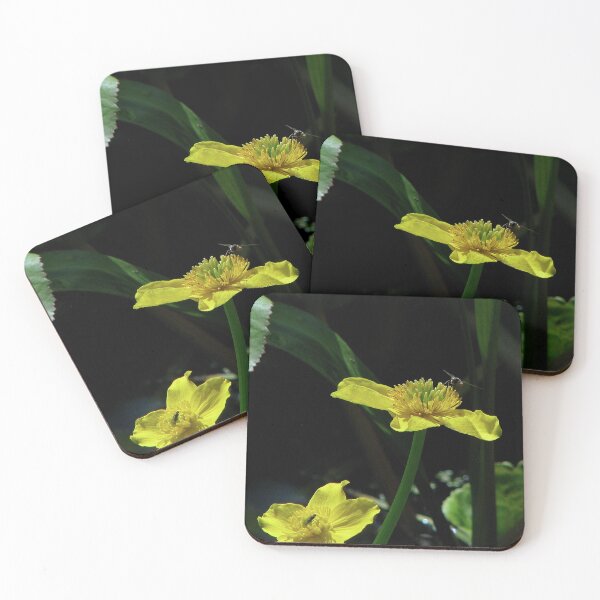 Item preview, Marsh Marigold and fly designed and sold by Sharon Perrett.