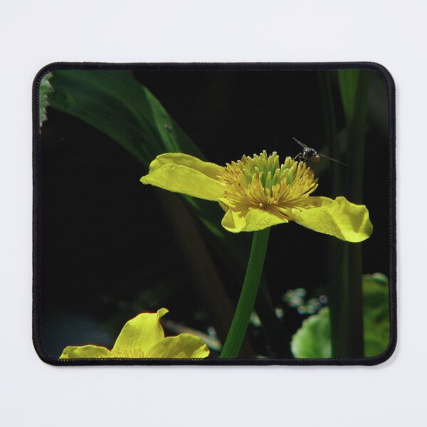 Item preview, Marsh Marigold and fly designed and sold by Sharon Perrett.