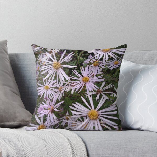 Item preview, Daisies designed and sold by Leafy-B-Green.